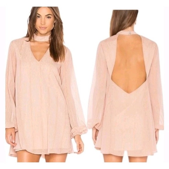 Show Me Your MuMu Dresses & Skirts - NWT Show Me Your Mumu Blush and Gold Josephine Bell Dress Large Holiday
